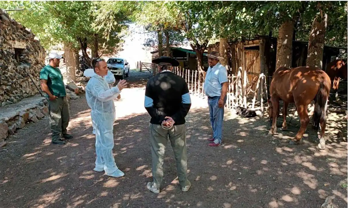 Confirman el segundo caso positivo de influenza aviar en aves de corral