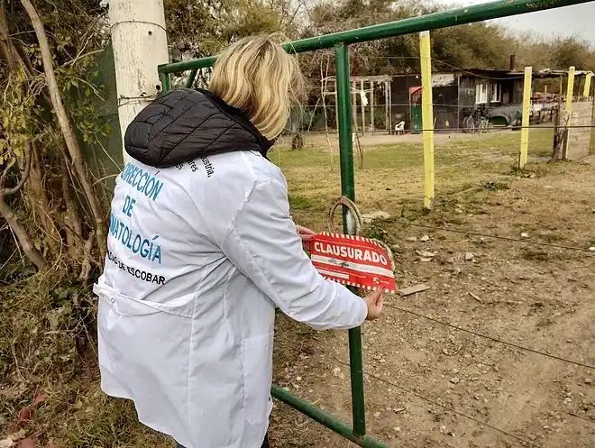 Escobar: Clausuraron un criadero de cerdos clandestino