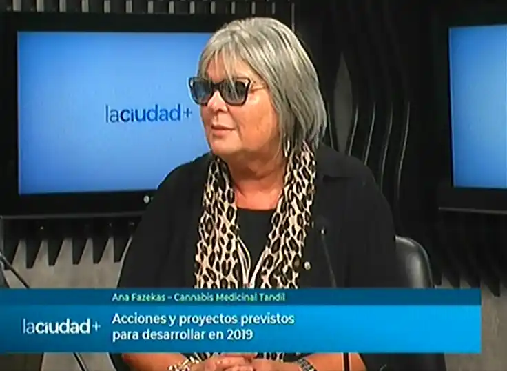 Acciones y proyectos de Cannabis Medicinal Tandil | La Ciudad