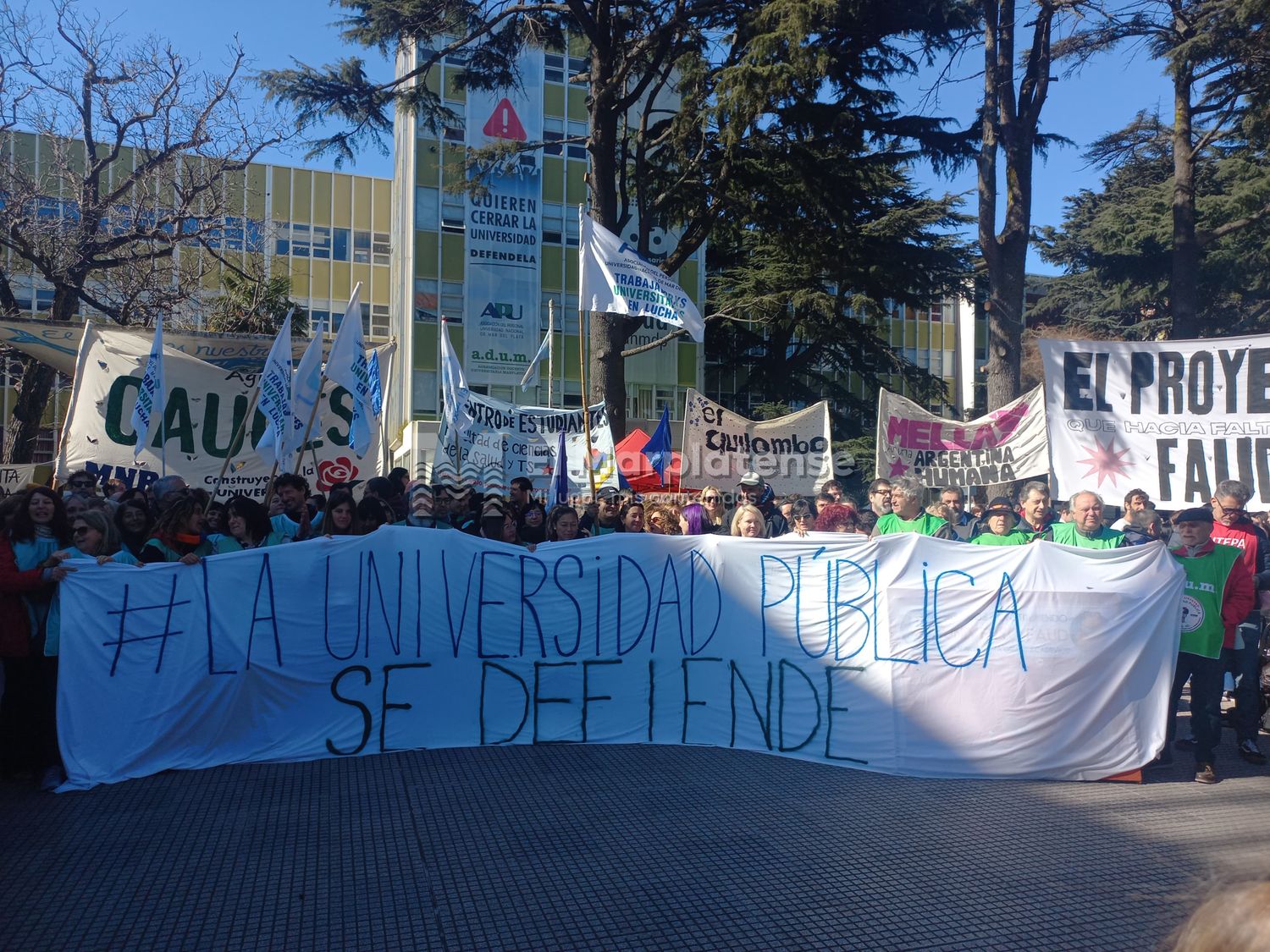 Banderazo universitario: "El objetivo del gobierno es cerrar las universidades y privatizarlas”