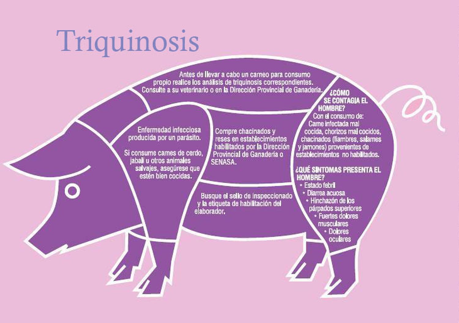 Charlas de prevención de la Zoonosis