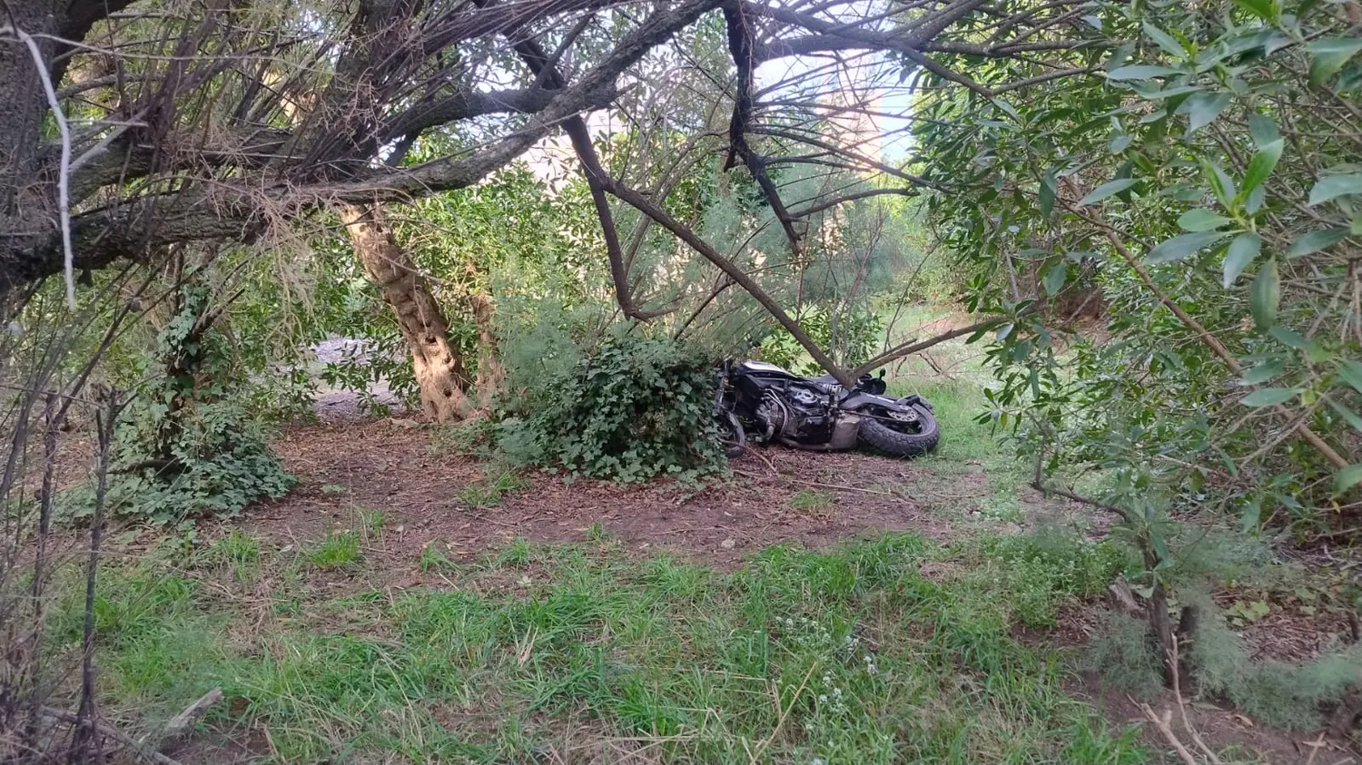 El delincuente que se robó la Ducati en Quequén y la abandonó en un baldío tiene 16 años