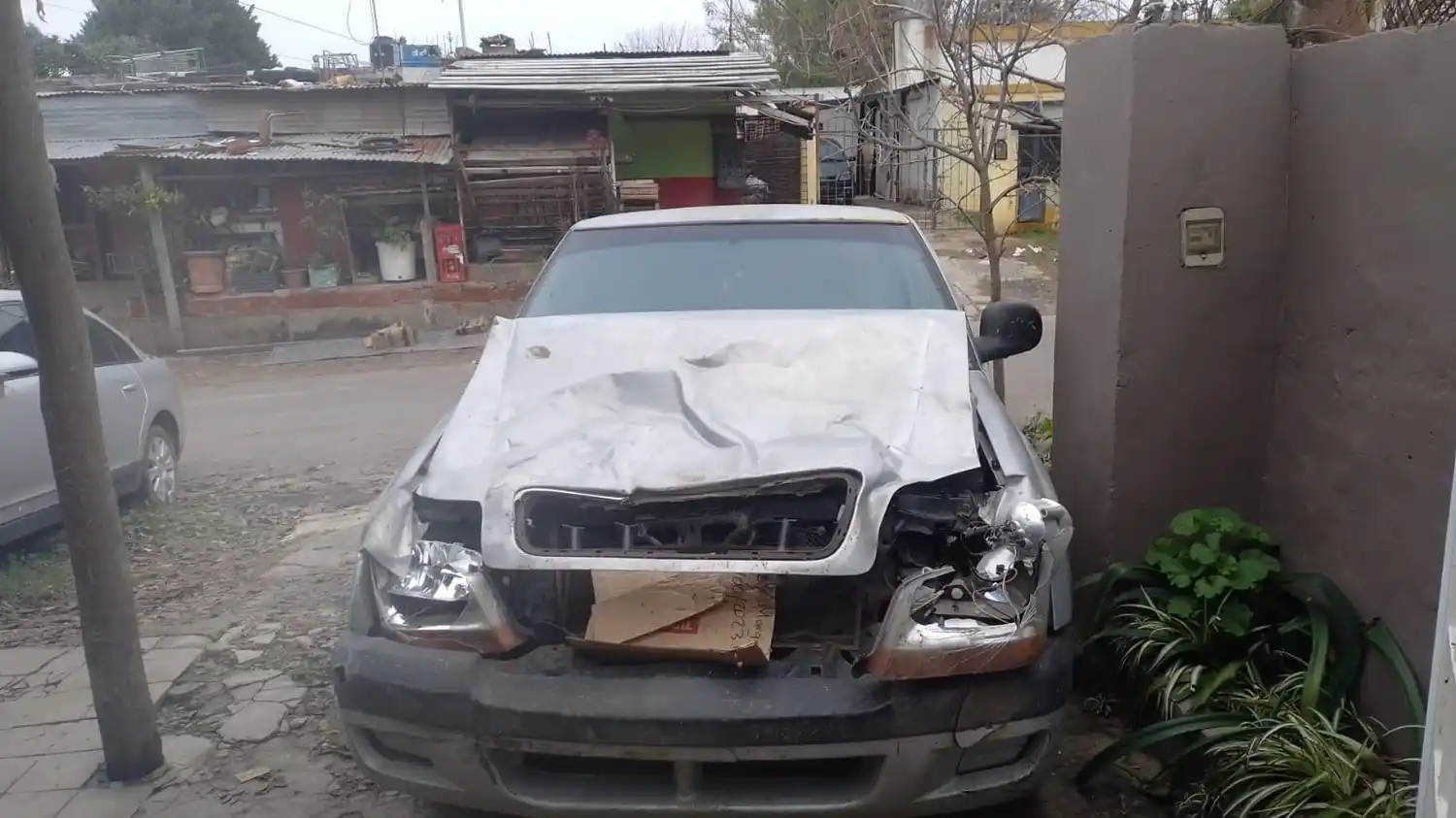 Accidente con caballos sueltos en ruta 1001: “Me rompieron toda la camioneta”