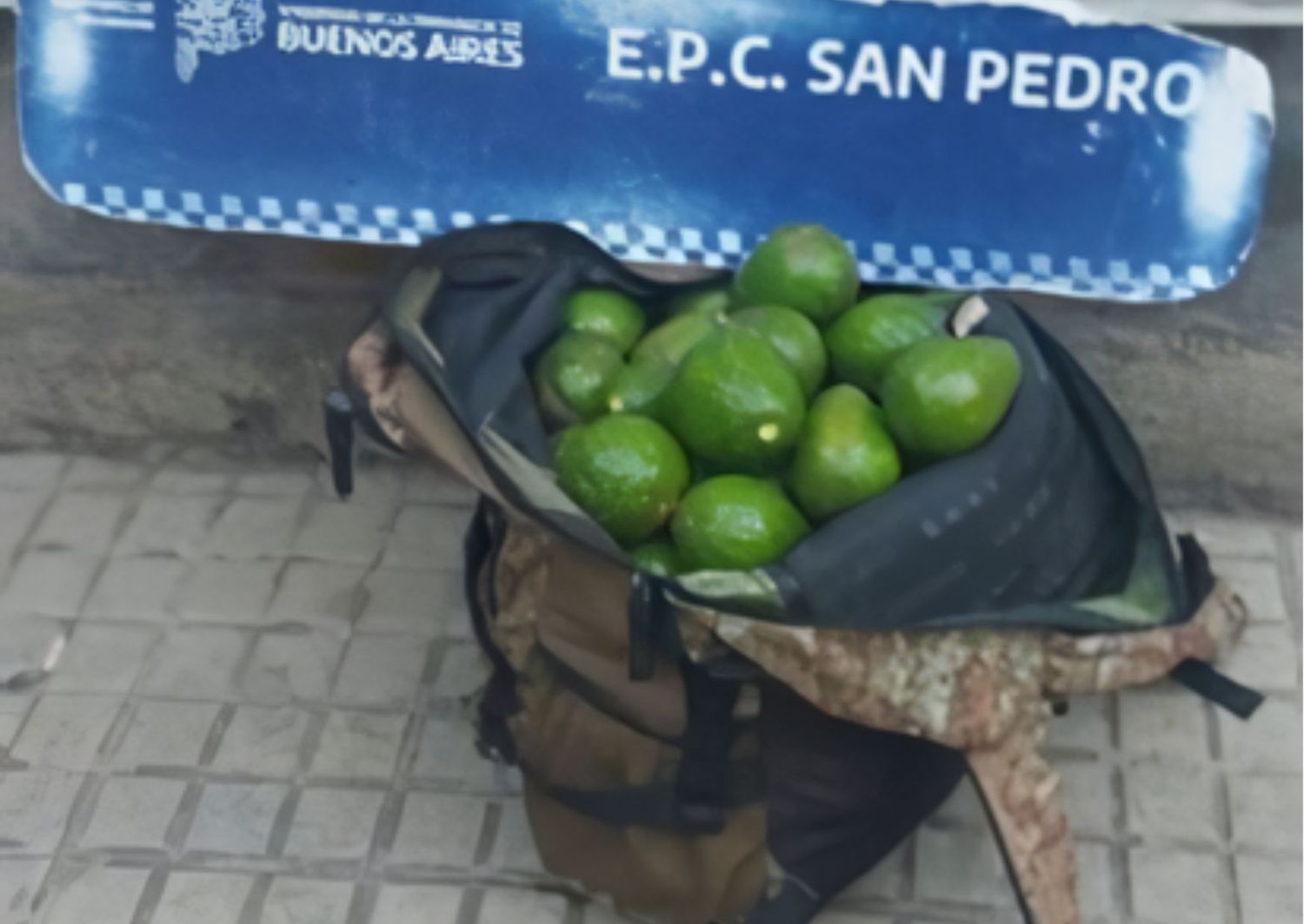 La mochila cargada de paltas con la que los delincuentes intentaron darse a la fuga.