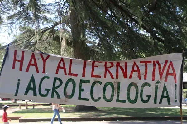 Los ambientalistas piden la prohibición de todos los agrotóxicos