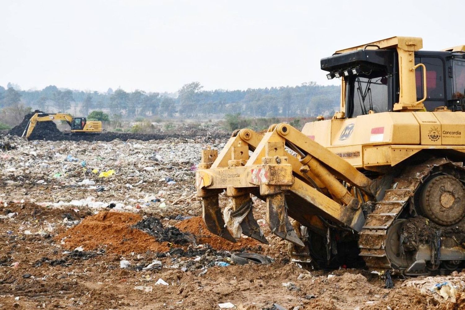 TRANSFORMACI�N CAMPO EL ABASTO: Más oportunidades para todos y cuidado del ambiente