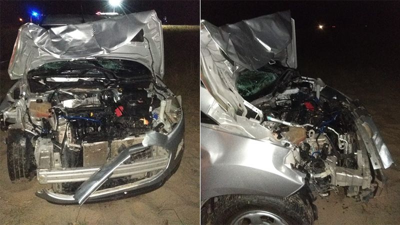 Ruta 12: Se dirigían hacia Corrientes y chocaron contra un animal vacuno