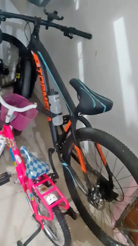 Le robaron la bicicleta del interior de su  casa y quedó todo registrado en las cámaras
