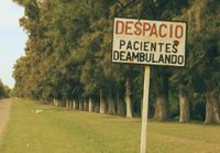 Un elogio a la locura