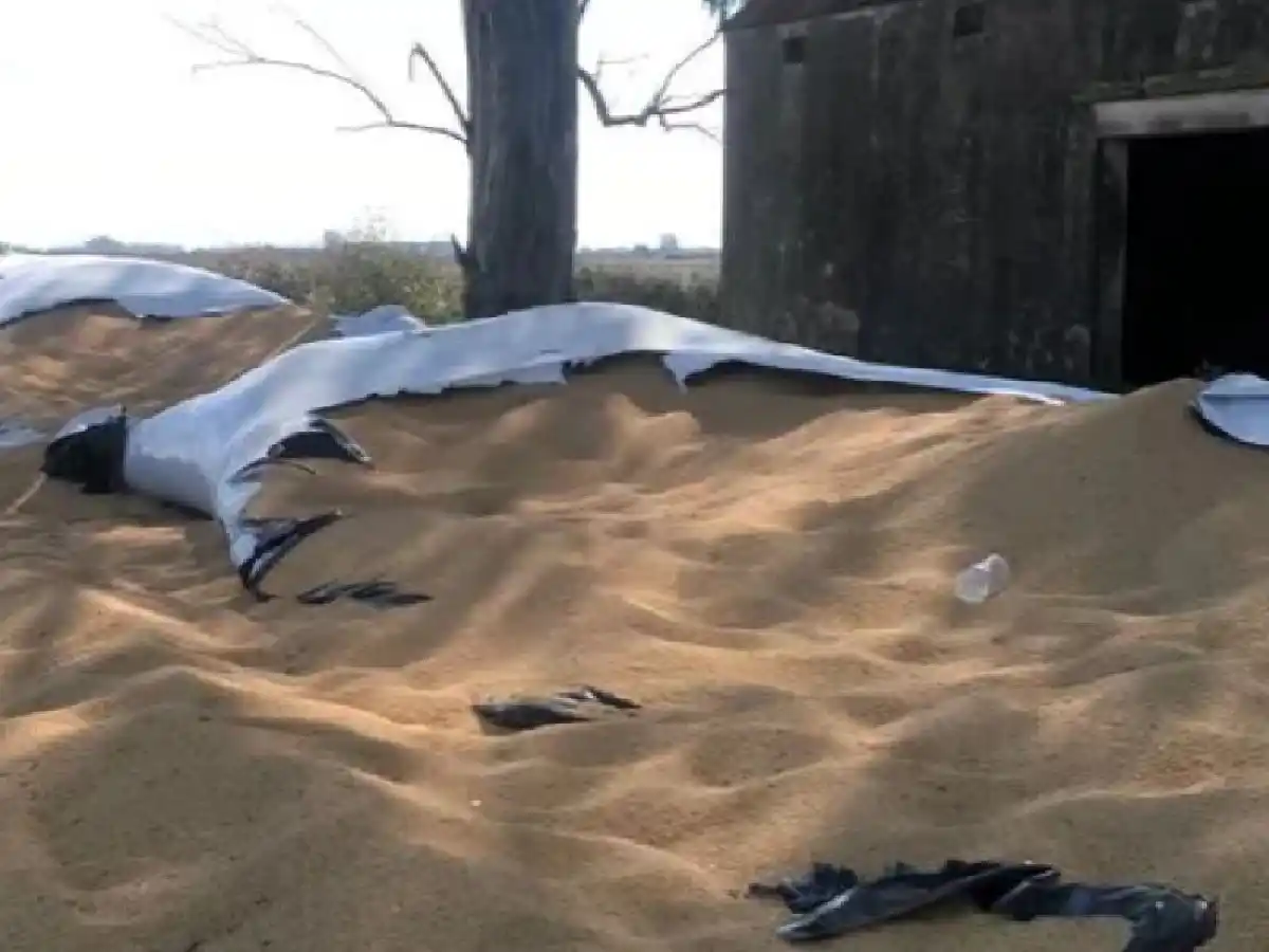 Tres detenidos por el robo  del silo bolsa en Josefina        