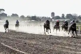 LEY DEL TURF SE DEBATIRA MUY PRONTO EN DIPUTADOS