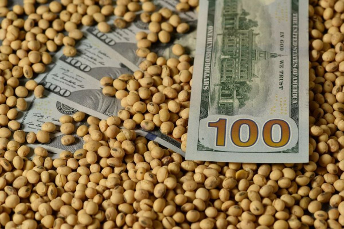 La mejora se dio en un contexto de mayor estabilidad macroeconómica y apertura de nuevos mercados.