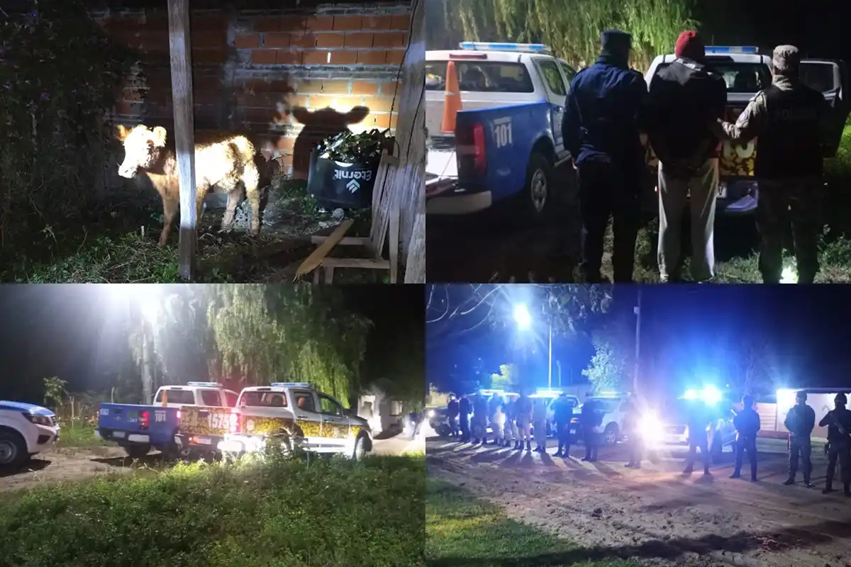 Golpe al abigeato en el sur entrerriano: detienen a un prófugo y secuestran carne, armas y una ternera viva en Gualeguay
