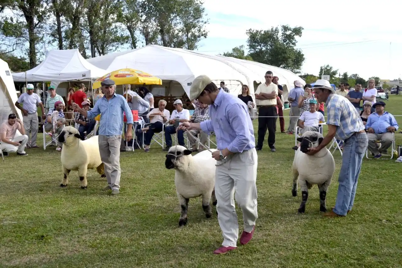 Continúan los preparativos para una nueva edición de la Expo Ovina en Urdinarrain
