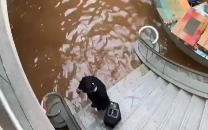 Dramático video: se inundó el edificio de Torneos por un caño maestro roto