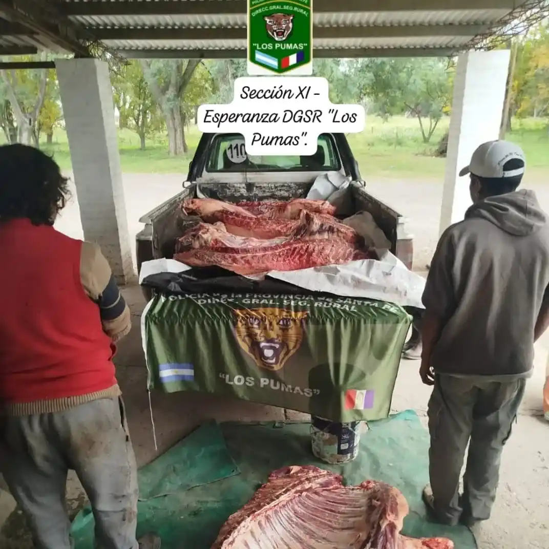 Secuestraron carne vacuna transportada sin condiciones sanitarias en Esperanza