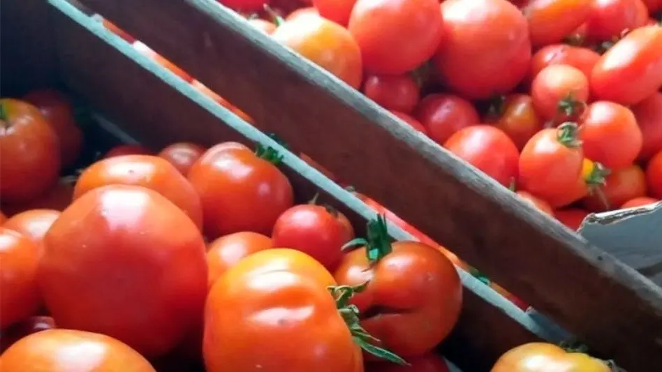 Se podrá comprar verduras agroecológicas en el mercado municipal: "No se usan agroquímicos sino bioinsumos naturales"