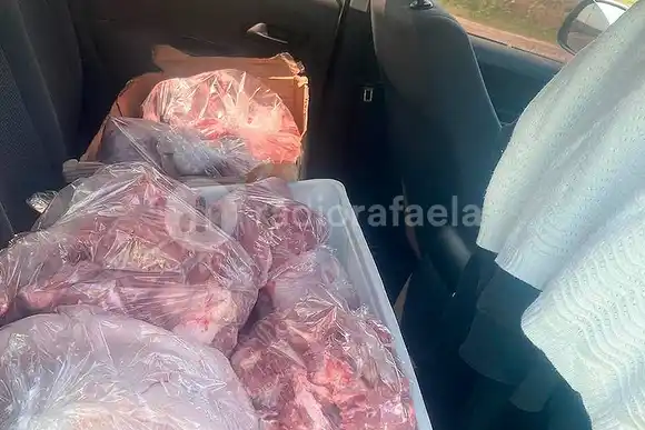En un control de tránsito, decomisaron cinco cajones de pollos y cortes de carne llevados “así nomás”