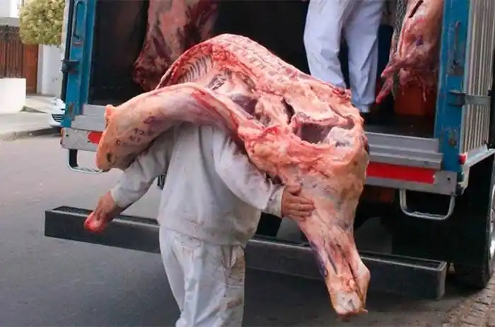 Trabajadores de la carne no podrán descargar medias reses al hombro