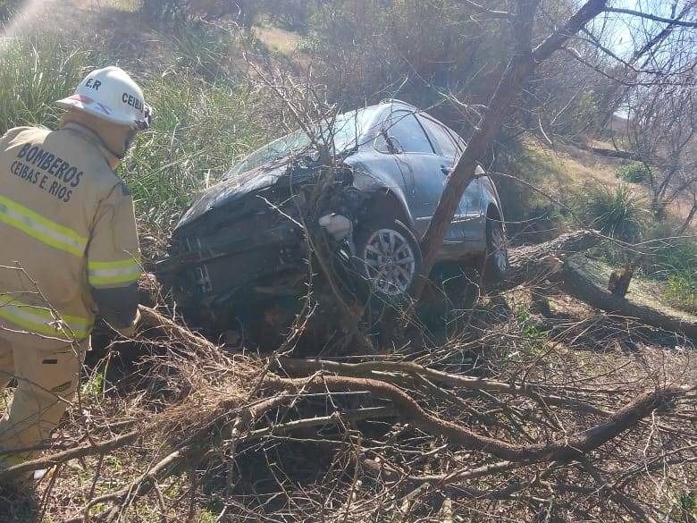 Una familia volcó en la Ruta 12 y terminó impactando contra un árbol