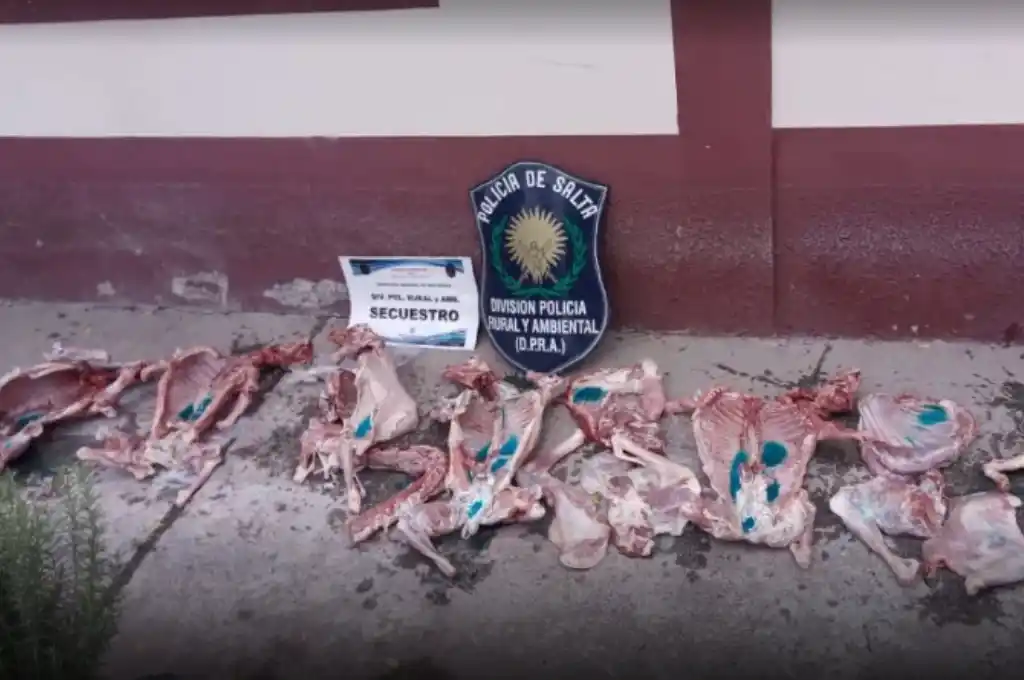 carne transportada sin cumplir con los estándares necesarios de higiene y salud.