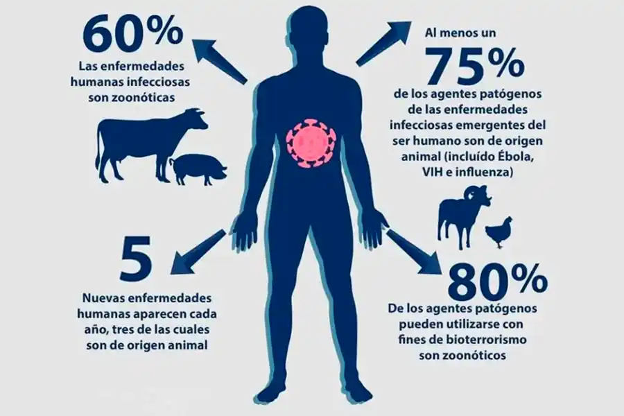 Día Mundial de la Zoonosis: riesgos y prevención de enfermedades transmisibles entre animales y humanos