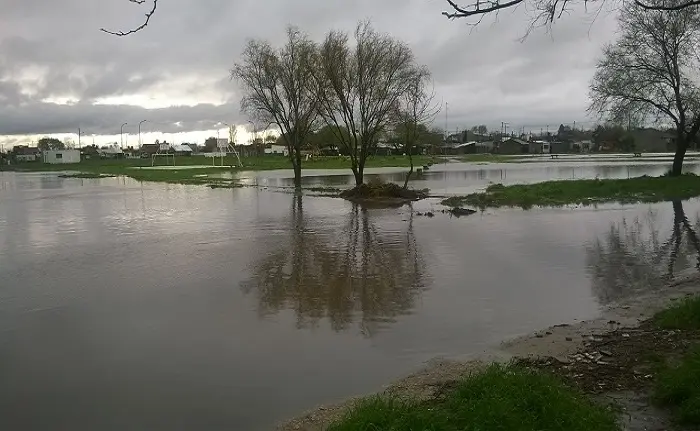 Mar del Plata: La lluvia generó anegamientos en distintos barrios