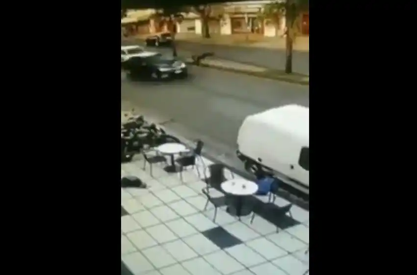 Robó un celular y cuando quiso escapar lo atropellaron