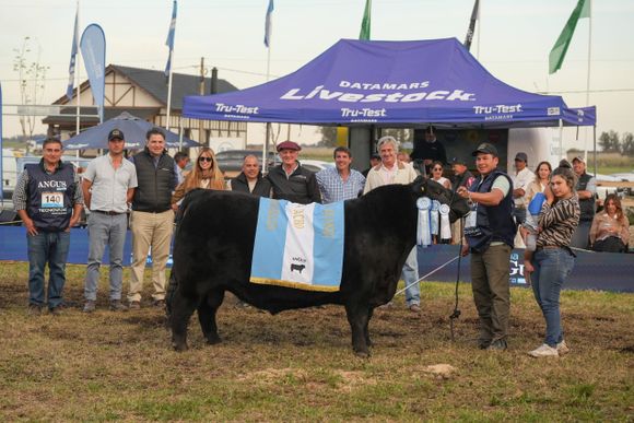 La Alianza y Los Murmullos, los más felices de la primavera Angus