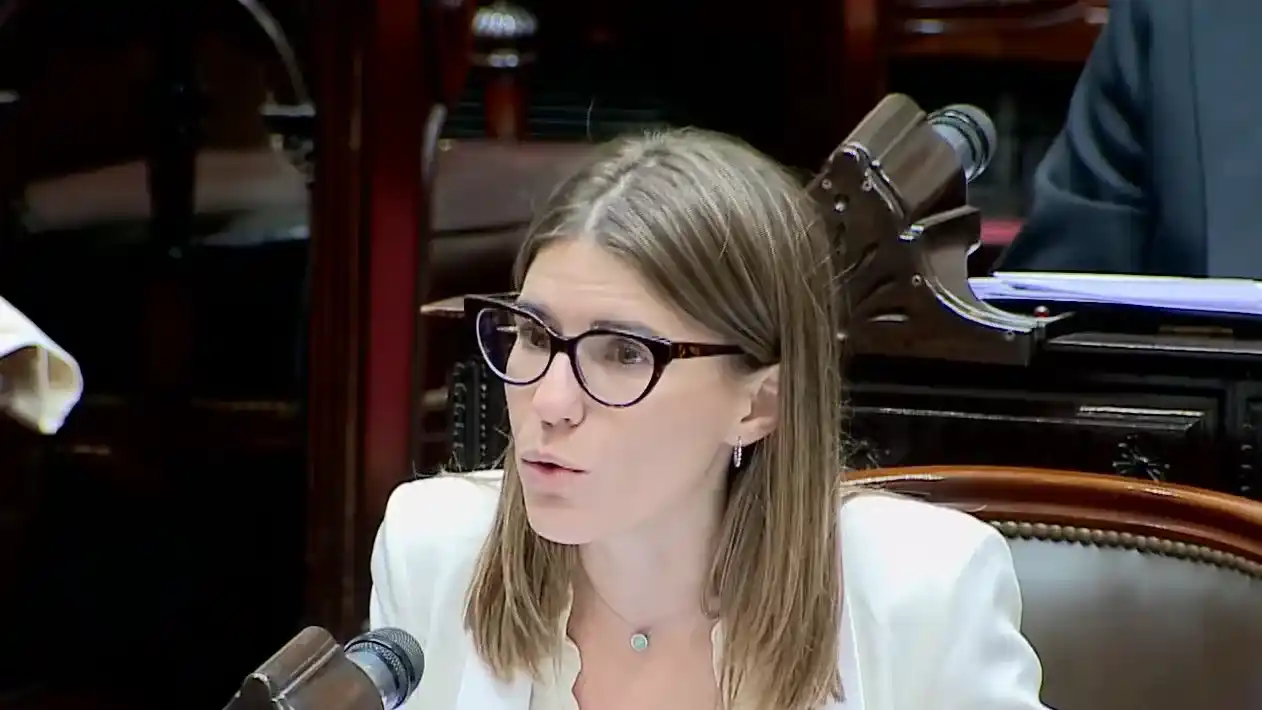 Tras la media sanción, el Súper RIGI sumó el rechazo de Salzmann: "Es un pedido específico de algunas empresas"