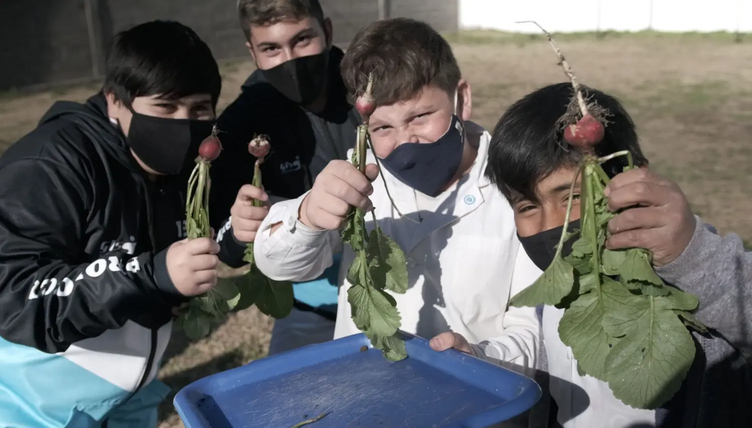 Sembrando Futuro: los chicos volvieron a poner manos a la huerta