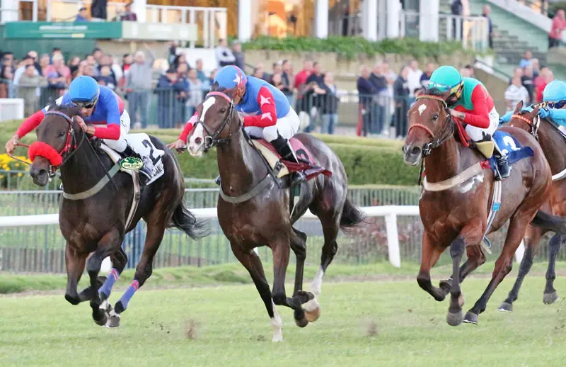 Viernes 19: Actividad Hipódromo de San Isidro