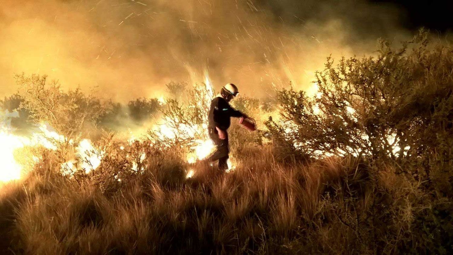 Vidal firma la emergencia agropecuaria por los incendios