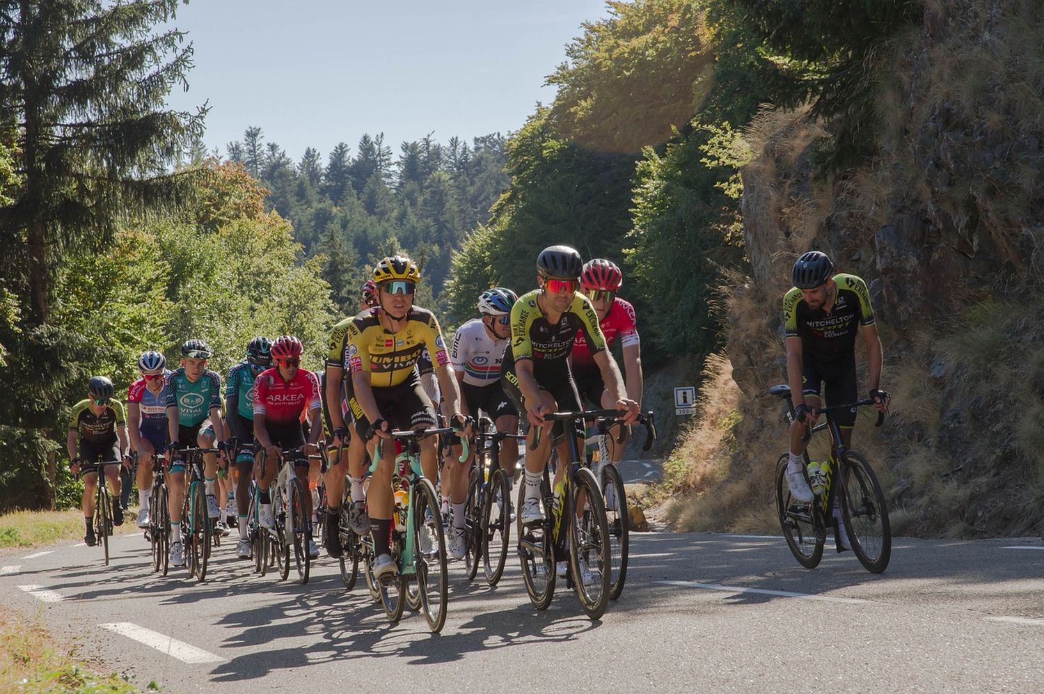 Dos colombianos competirán contra Vingegaard y Pogacar en el Tour de Francia