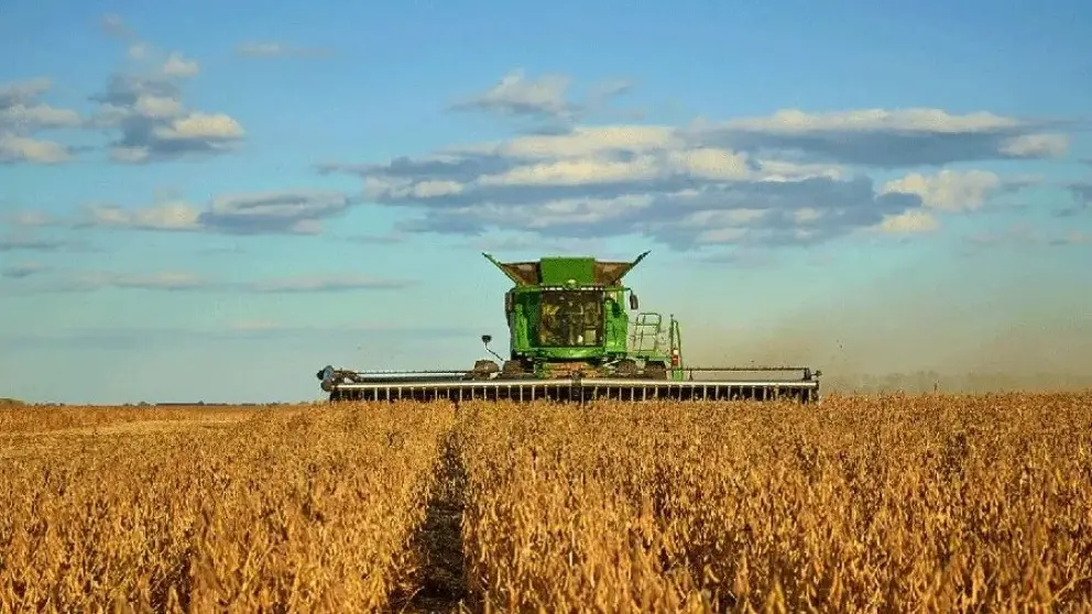 “La vuelta de las retenciones afecta porque el 80% de lo que producimos lo tenemos que vender”