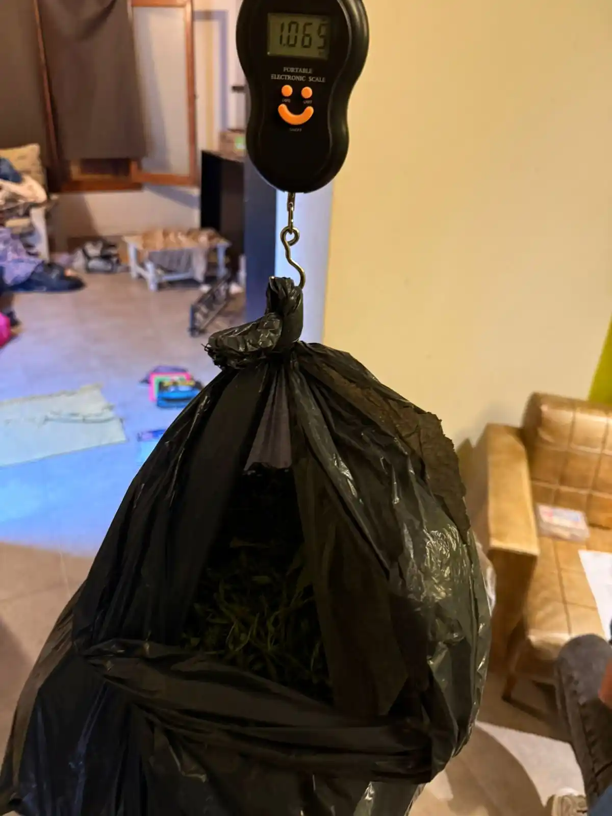 Mari - 4
