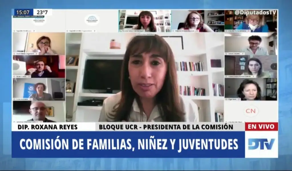 EN VIVO | Representantes de UNICEF exponen en Diputados