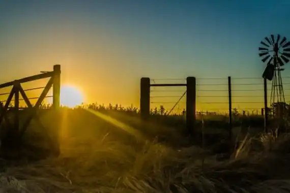 Se actualizó el Impuesto Inmobiliario Rural 2025 en Entre Ríos: subas moderadas y destino exclusivo a caminos rurales