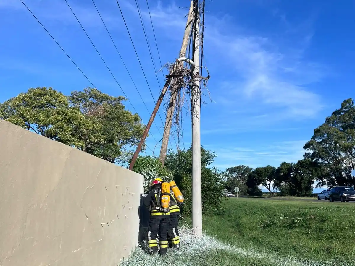 Crédito: Bomberos de Venado Tuerto.