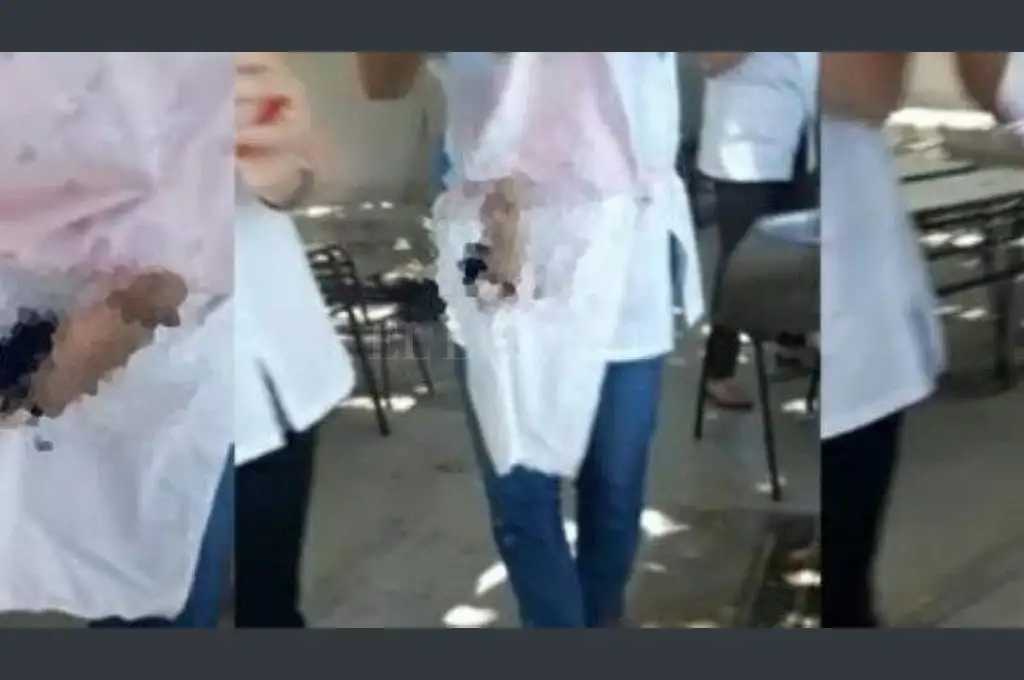 San Juan: maestras bailaron con juguetes sexuales al ritmo de “Los Palmeras”