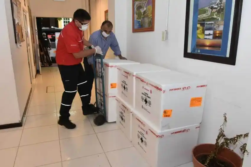 Llegaron más de 12.000 dosis de la vacuna Sinopharm a Formosa