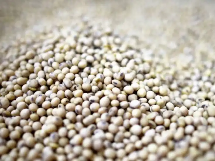 El Banco Central derogó una norma que penalizaba el acopio de soja y trigo