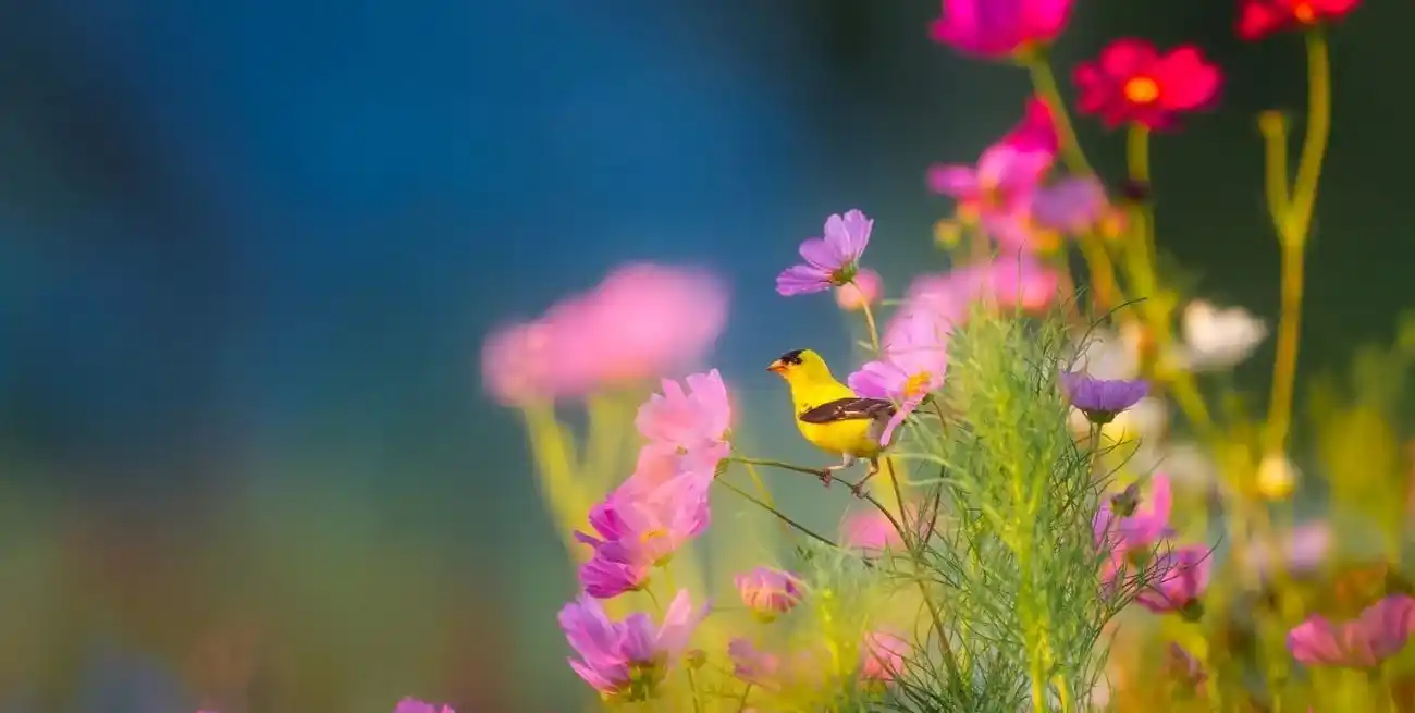 Los días siguen alargándose y las noches acortándose hasta finales de diciembre.