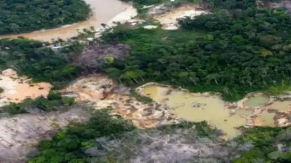 Explotación del Arco Minero del Orinoco DESTRUYE 1.200 hectáreas de selva, denuncia Fundaredes