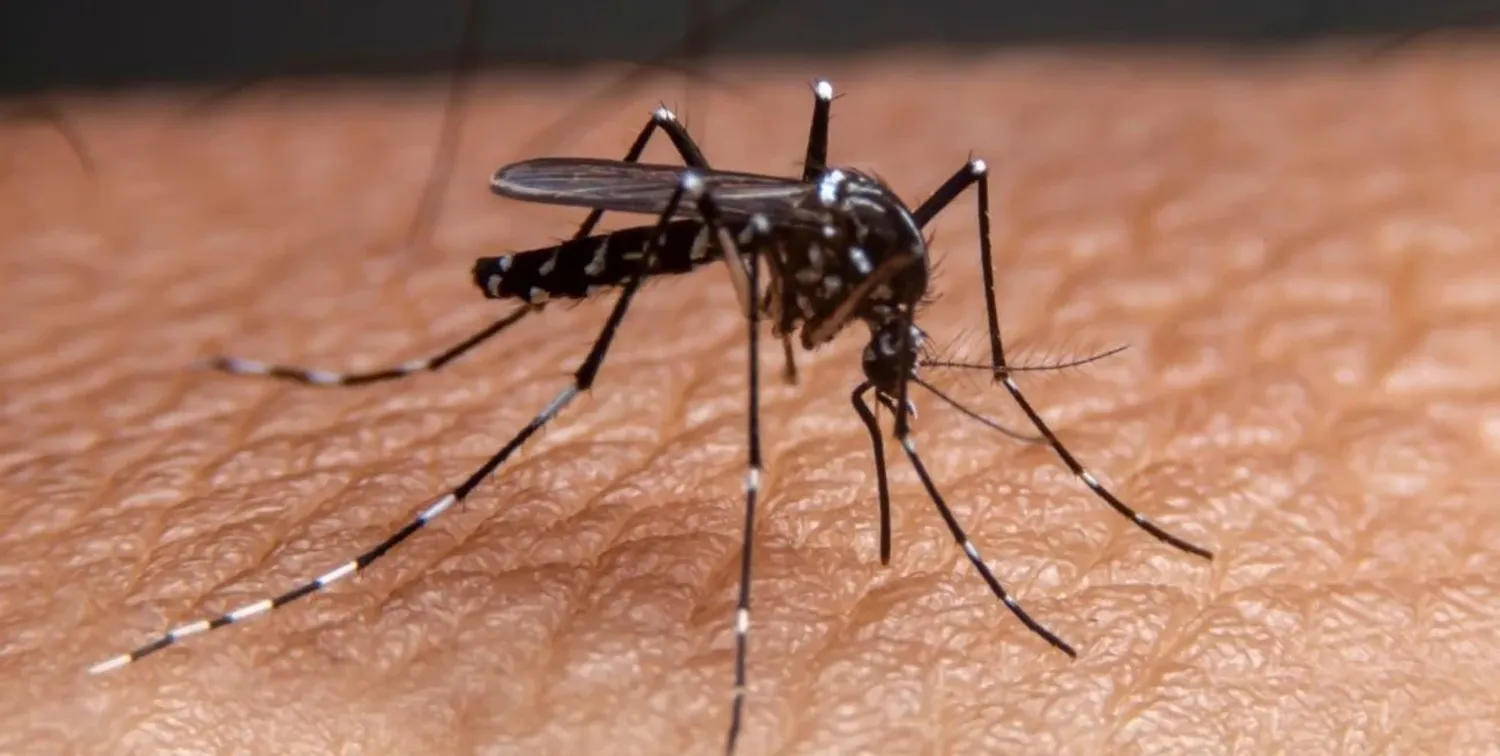 Muchos turistas que regresan de Brasil pueden traer el dengue en la sangre y contribuir al contagio de muchas personas.