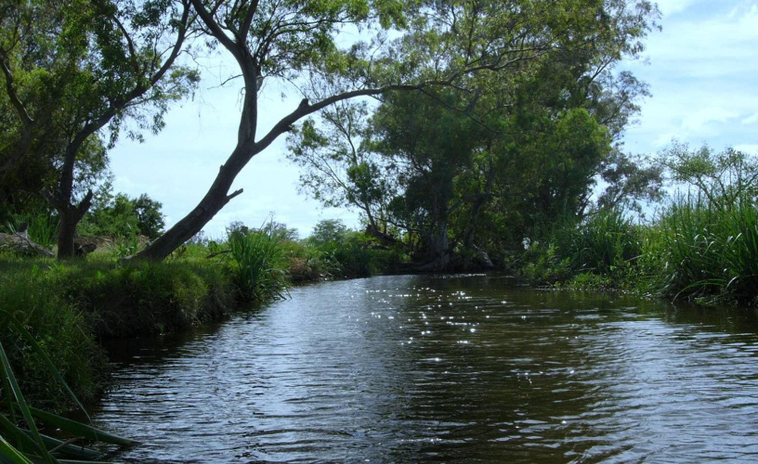 Campana: La Reserva Natural Otamendi a un paso de convertirse en Parque Nacional