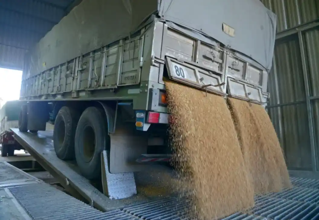 La Secretaría de Agricultura eliminó el Registro Único de la Cadena Agroindustrial (RUCA)