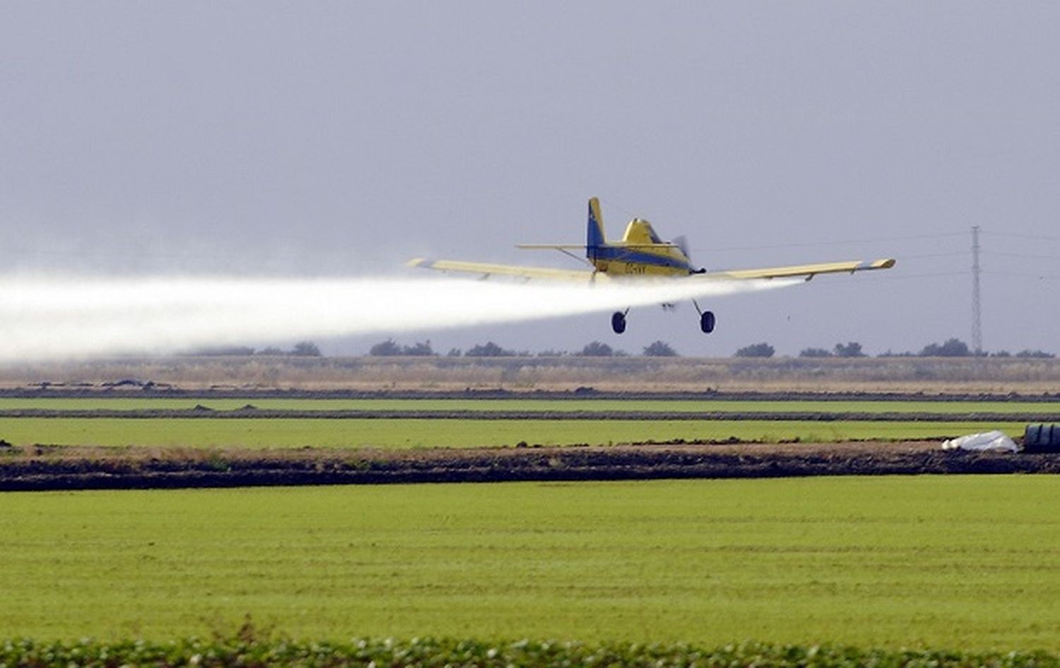 Los agroquímicos tienen efectos nocivos a corto y largo plazo