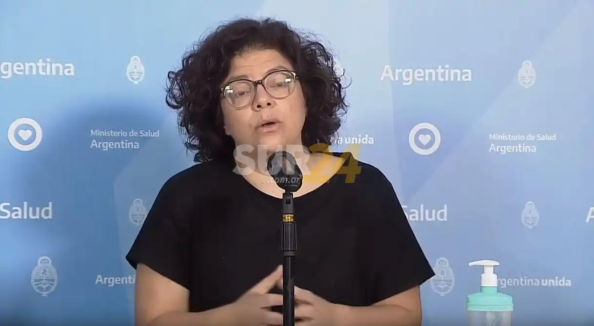 “Solo salgan a trabajar y a llevar a los chicos a la escuela”, el pedido de Vizzotti a la población