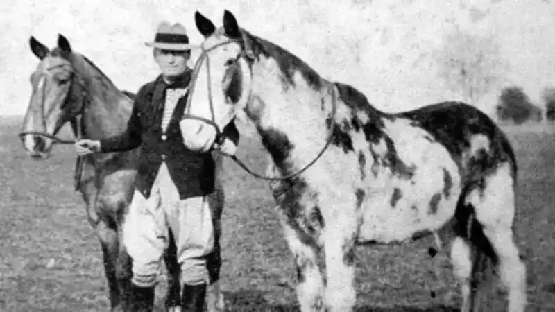 El histórico trayecto le llevó 3 años.